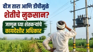 Electricity Line Farmers Rights