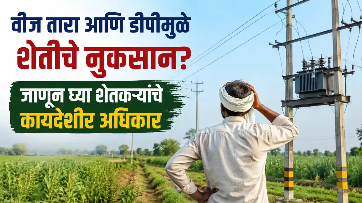 Electricity Line Farmers Rights