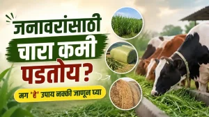 Fodder Management