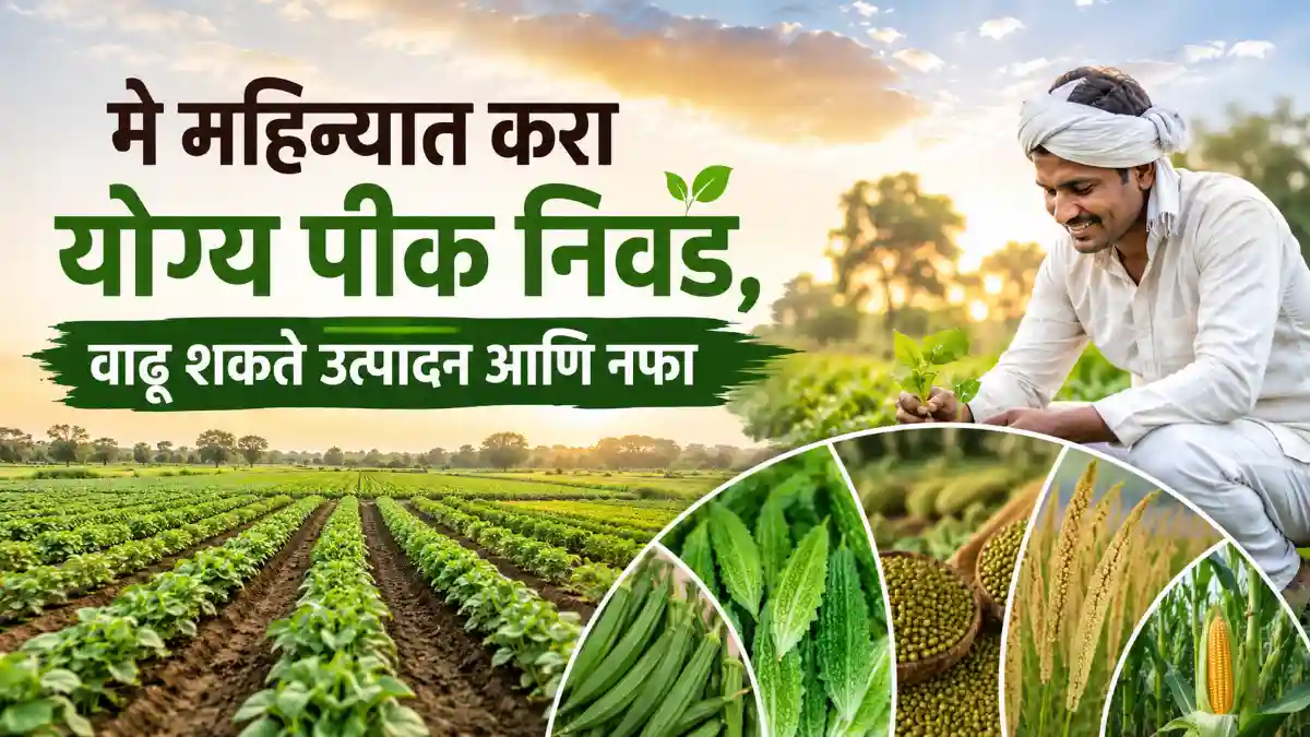 May Crop Planning