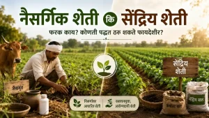 Natural Farming vs Organic Farming