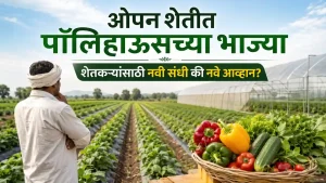 Open Farming Polyhouse Vegetables