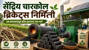 Organic Charcoal Briquettes