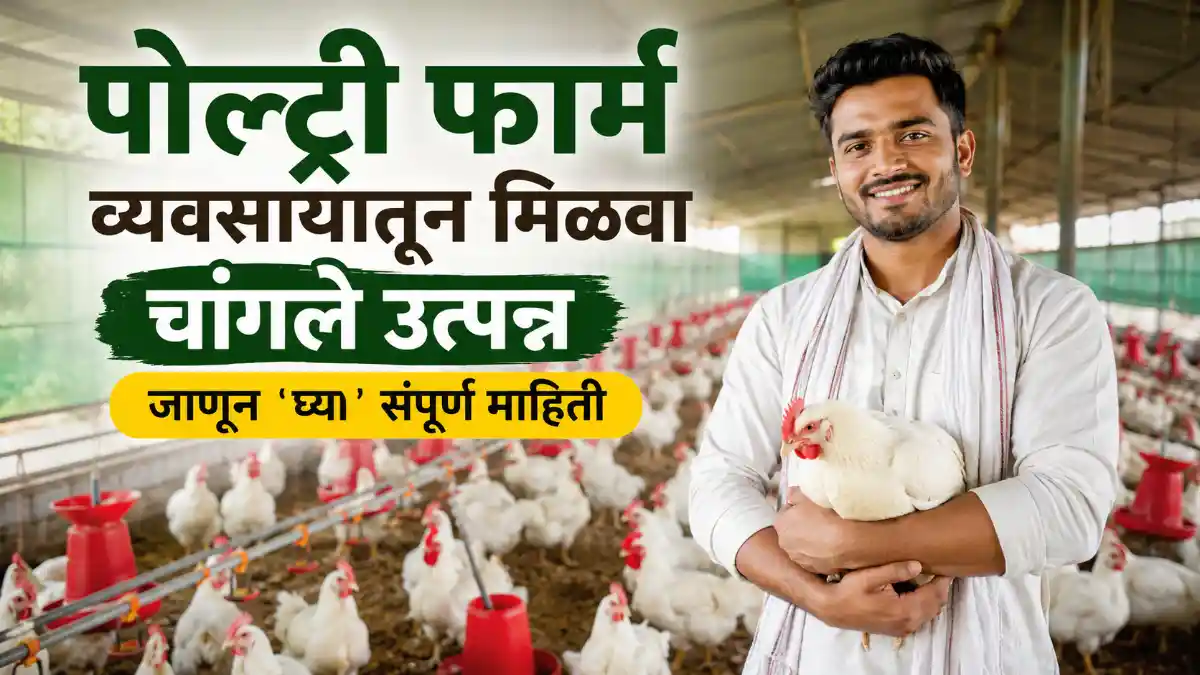 Poultry Farming Business