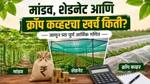 Protected Farming Economics