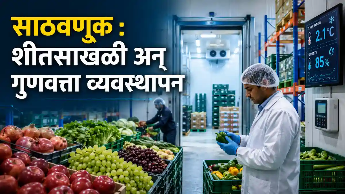 Agricultural Storage Cold Chain