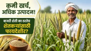 Bajra Farming