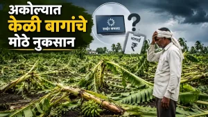 Banana Farmers Farm Losses