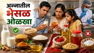 Food Safety Food Adulteration
