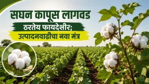 High Density Planting System - HDPS