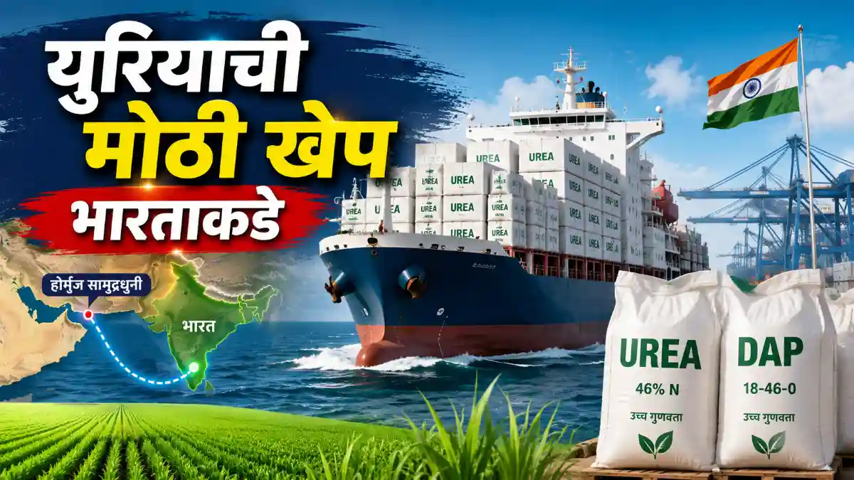 Hormuz Strait Urea Supply