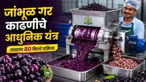 Jamun Processing Pulp Machine