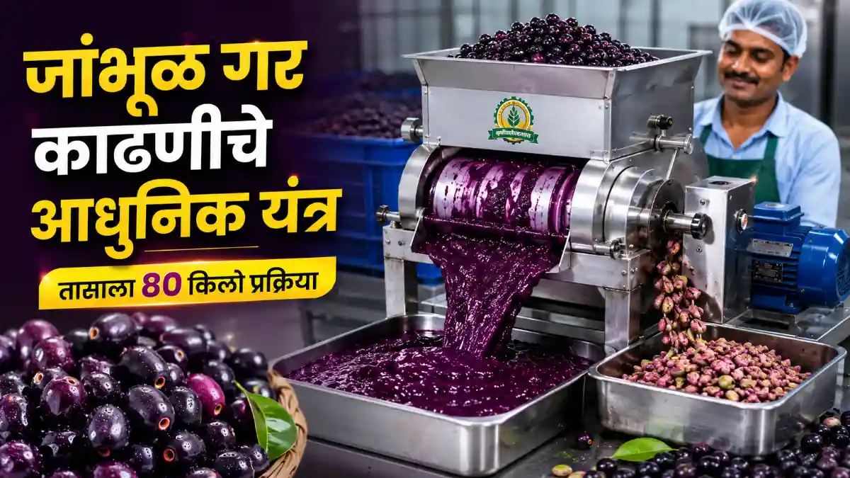 Jamun Processing Pulp Machine