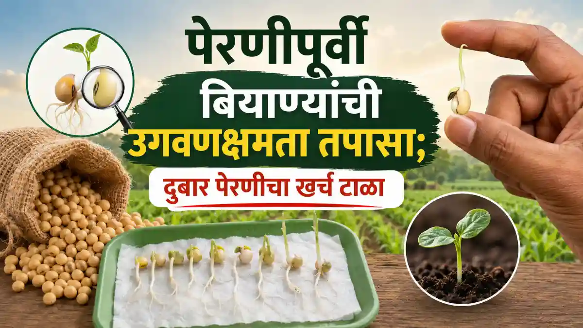 Kharif Season Seed Germination Test