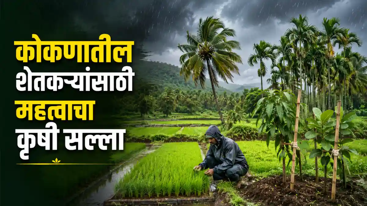 Konkan Agriculture Crop Advisory