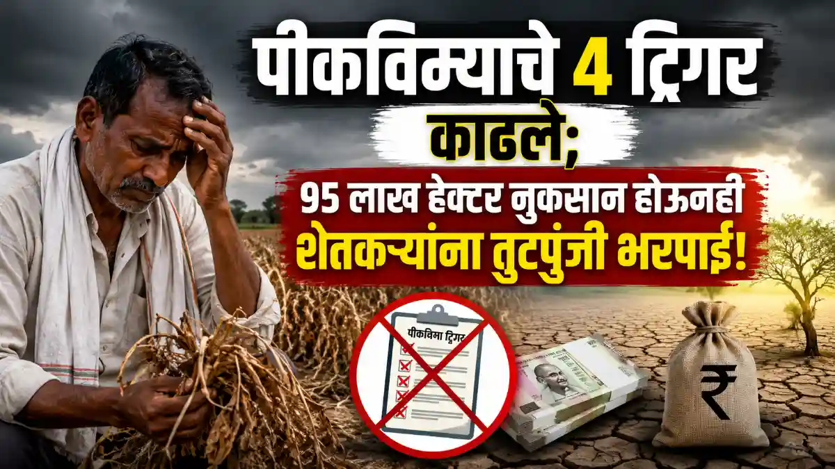 Maharashtra Crop Insurance PMFBY