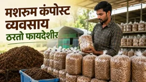 Mushroom Compost Substrate Business