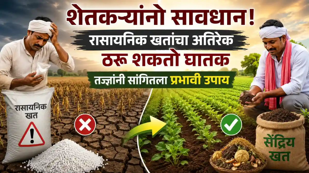 Organic Farming