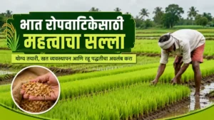 Paddy Crop Advisory Rahu Method