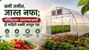 Polyhouse Farming