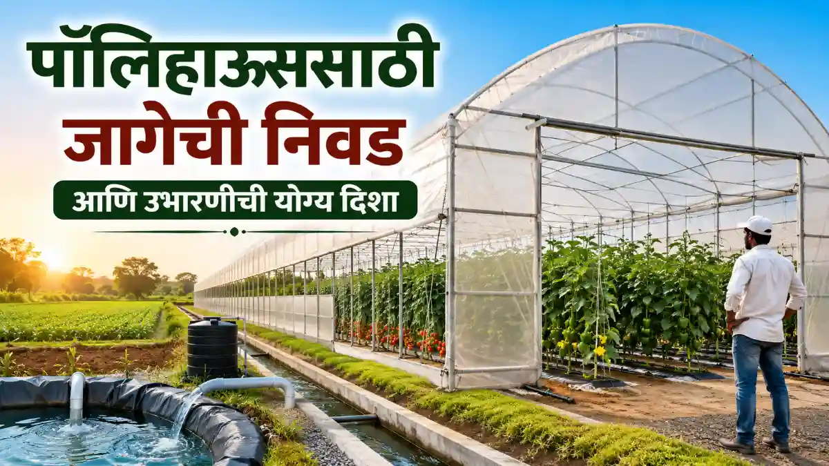 Polyhouse Farming Protected Cultivation