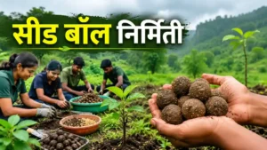 Seed Ball Making