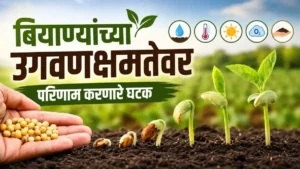 Seed Germination Seed Quality