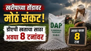 Solapur News DAP Fertilizer
