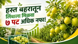 lemon farming