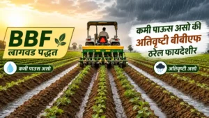 BBF Farming
