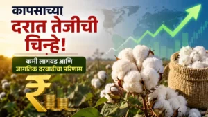 Cotton Price