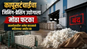 Cotton Processing