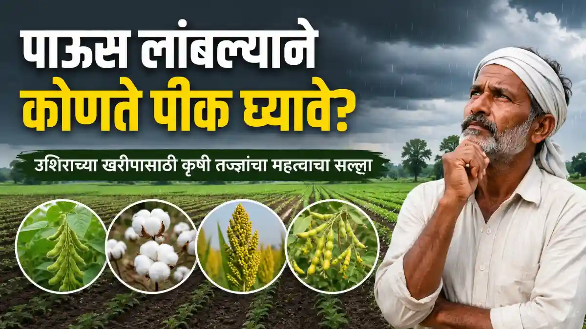 Delayed Monsoon