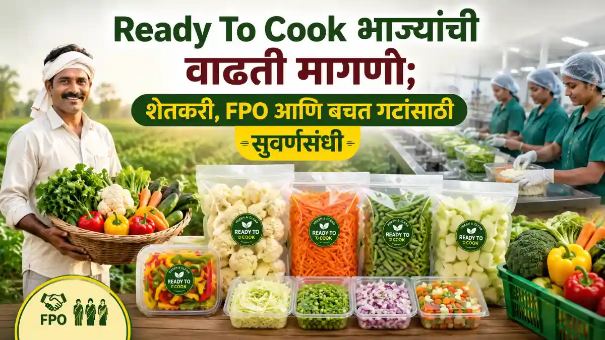 Fresh Cut Vegetables