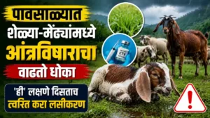 Goat Farming Enterotoxemia