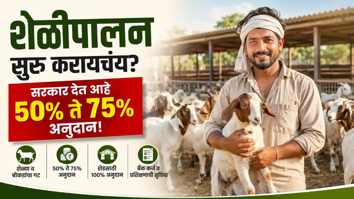 Goat Farming Scheme