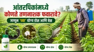Intercropping Herbicide