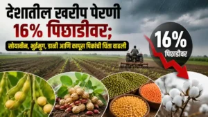 Kharif Sowing India Agriculture
