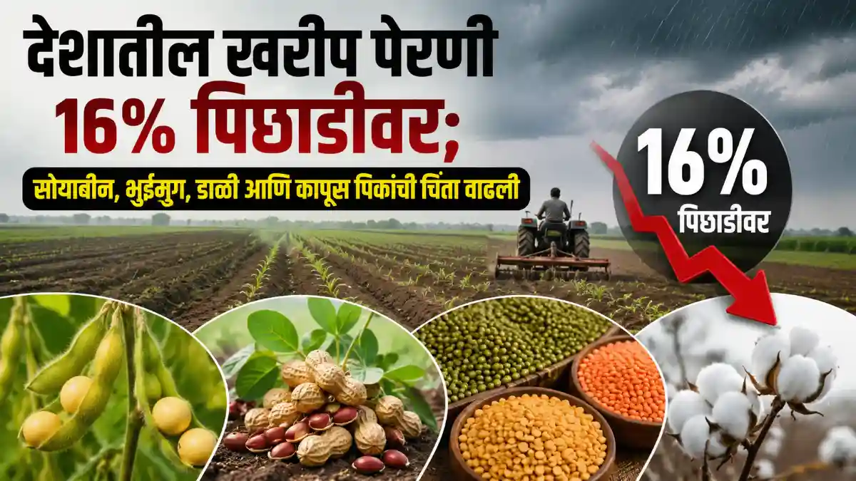 Kharif Sowing India Agriculture
