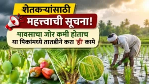 Maharashtra Agriculture Crop Advisory
