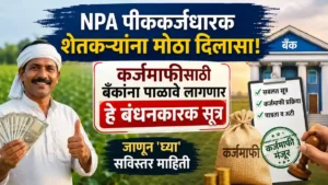 Maharashtra NPA Accounts