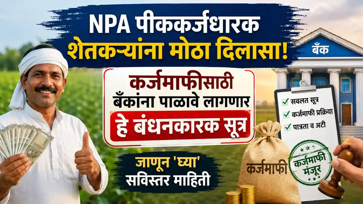 Maharashtra NPA Accounts