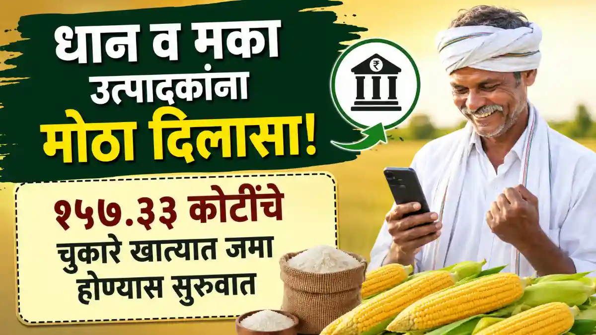 Maharashtra Paddy Procurement