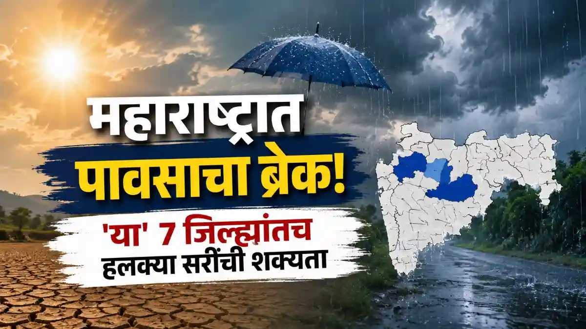 Maharashtra Rain News