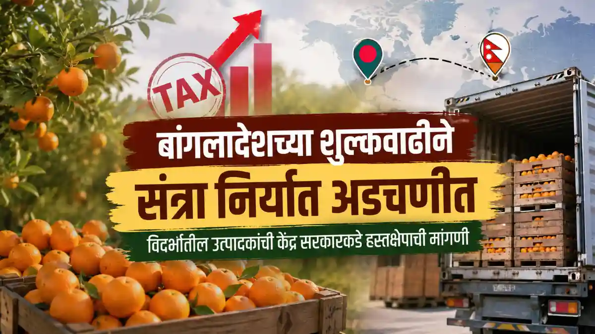Orange Export Bangladesh Import Duty