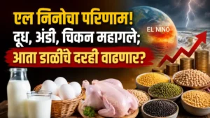 Protein Food Inflation