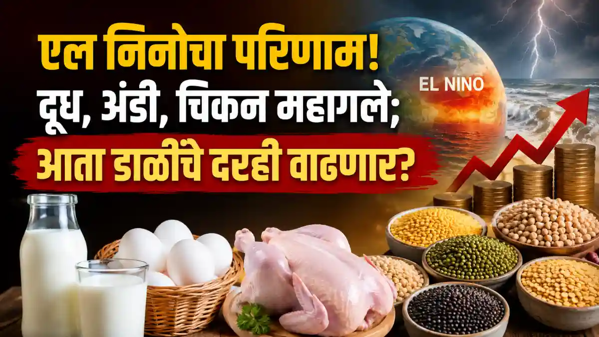 Protein Food Inflation