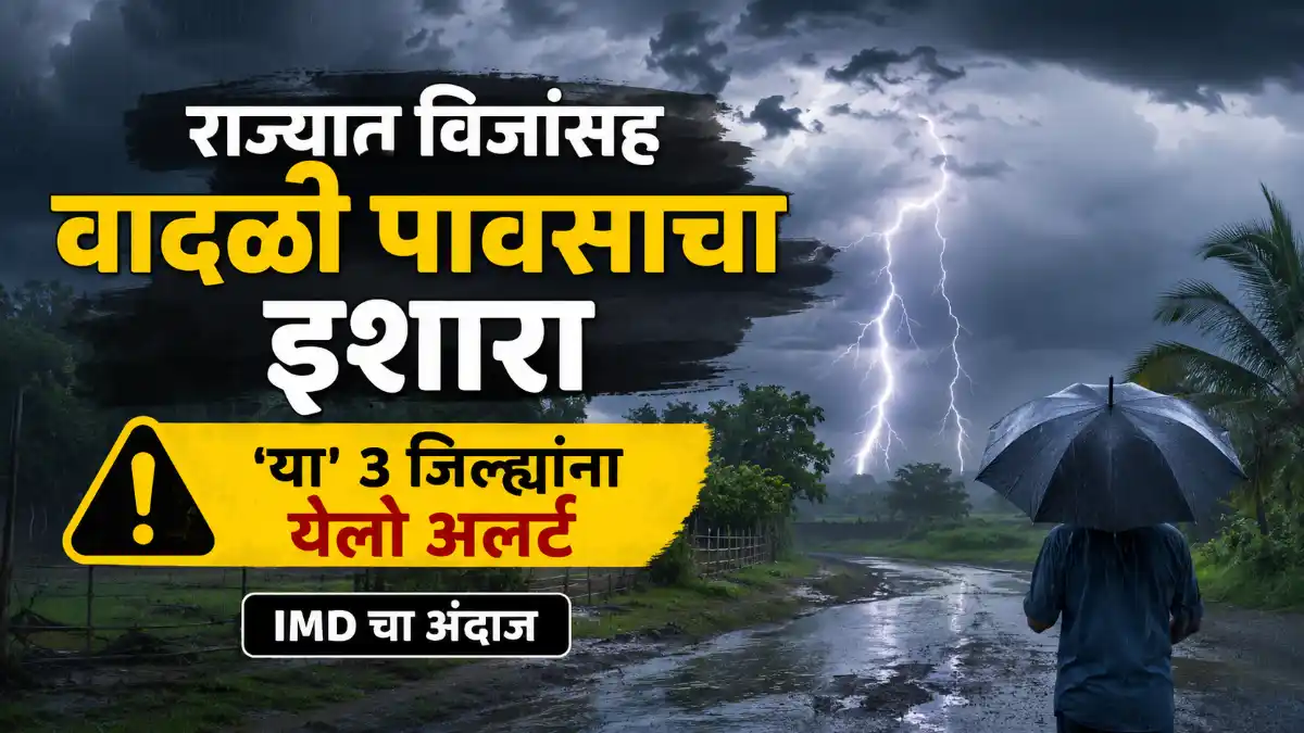 Rain Alert Maharashtra Rain Forecast