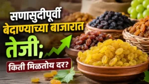 Raisin Prices Market