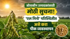 Soybean Crop Management